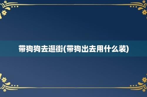 带狗狗去逛街(带狗出去用什么装)