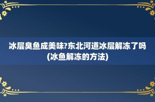 冰层臭鱼成美味?东北河道冰层解冻了吗(冰鱼解冻的方法)