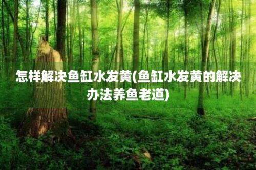 怎样解决鱼缸水发黄(鱼缸水发黄的解决办法养鱼老道)