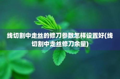 线切割中走丝的修刀参数怎样设置好(线切割中走丝修刀余量)