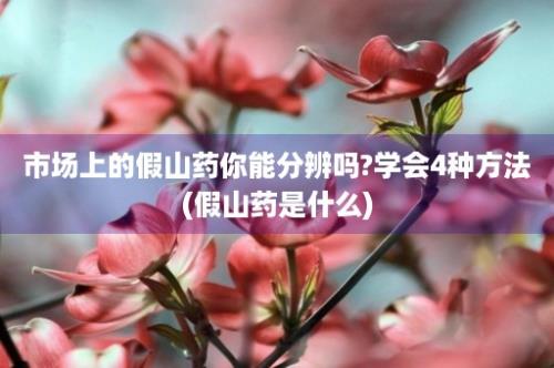 市场上的假山药你能分辨吗?学会4种方法(假山药是什么)