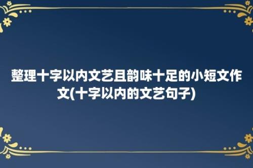 整理十字以内文艺且韵味十足的小短文作文(十字以内的文艺句子)