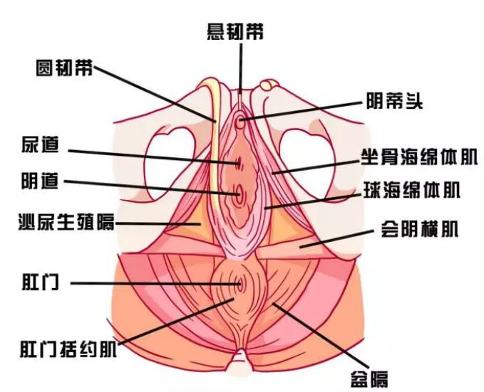 下面松弛，亲密时没感觉怎么办