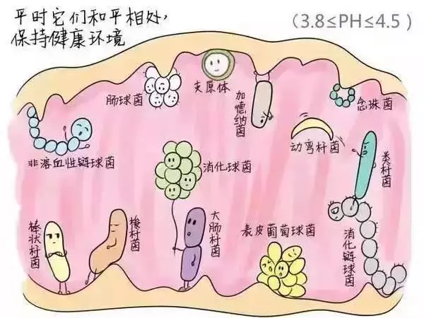 你是不是也觉得下面很脏很丑