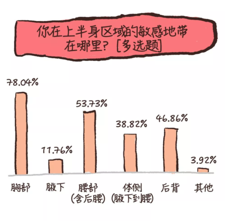 上半身区域