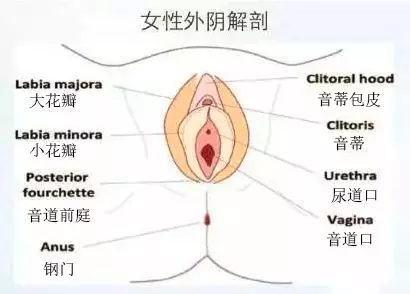 下面味道不好闻怎么办