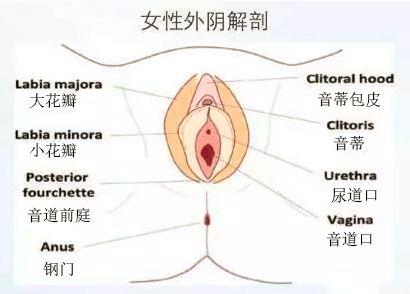 白带异常下面味道不好闻怎么办