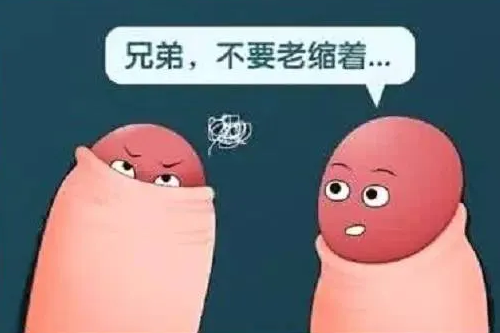 包皮，你割了吗