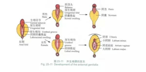 源自同一个组织