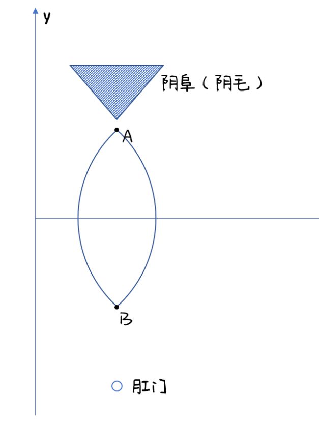 两片扇面