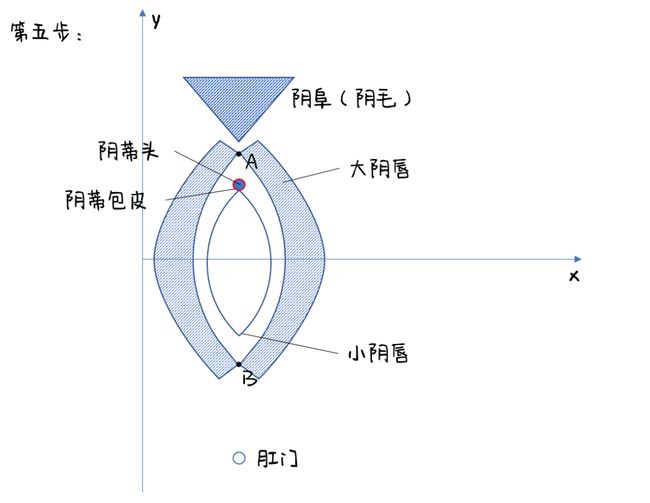 豆豆