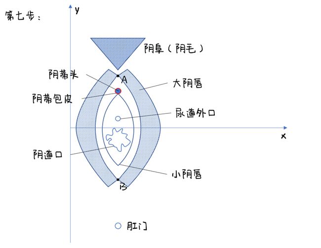 第七步