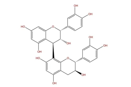 原花青素