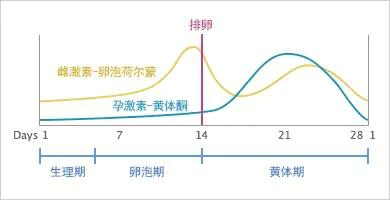 黄体生成素