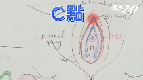 哪一个点最容易让女生高潮