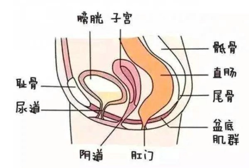 嗳嗳的时候想尿，是巢吹的前兆