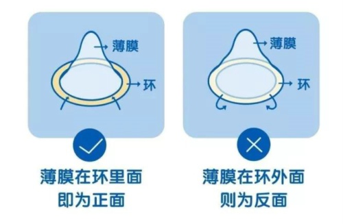 正面？反面？傻傻分不清