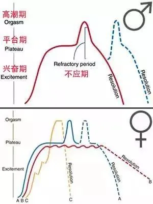 女生一晚上最多啪多少次才够