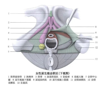 不可名状的液体