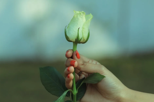 顶到花芯是什么感受