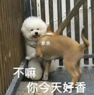 心理因素影响