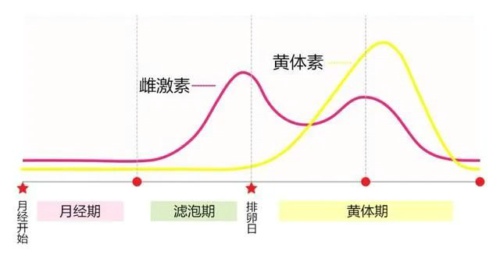 女生的白带到底有多重要