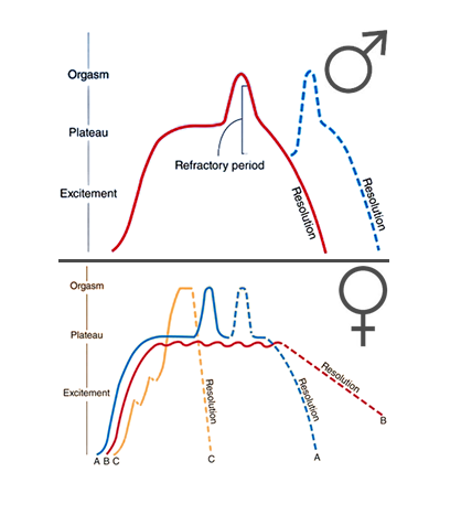 男女性兴奋的差异
