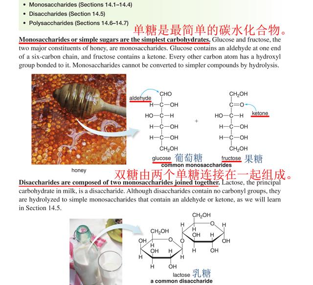 拉丁语语法常识（拉丁语常识有轻松学习外语和数理化的宝贝）(11)