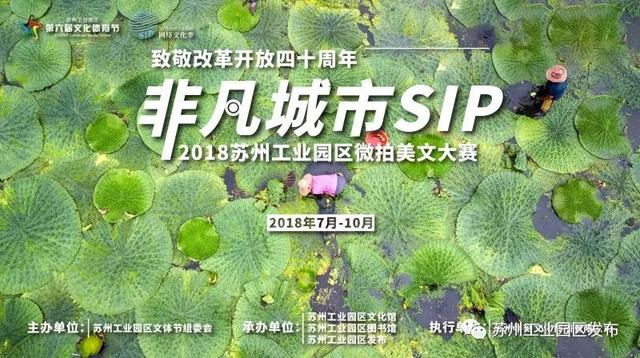 随手拍第一期作品来啦谁能获奖（SIP微拍美文大赛来袭）(7)