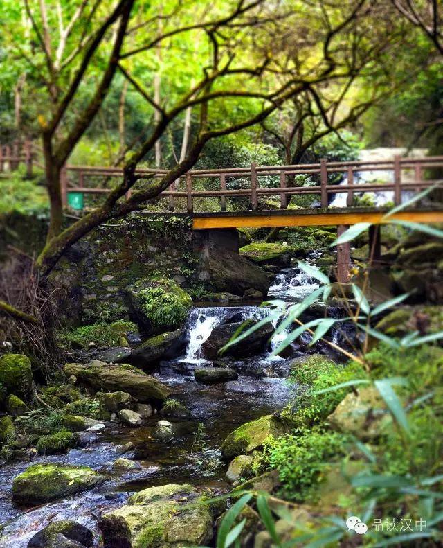 汉中4天旅游适合去哪里（汉中这些瀑布承包了整个夏天的清凉）(17)