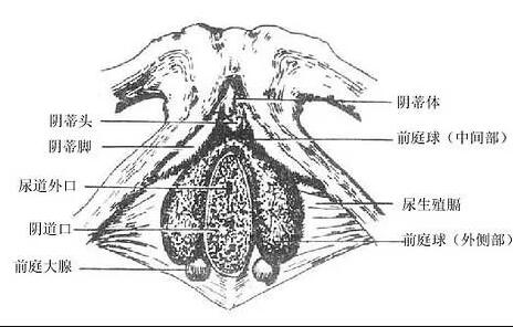 QQ截图20200329140256.jpg