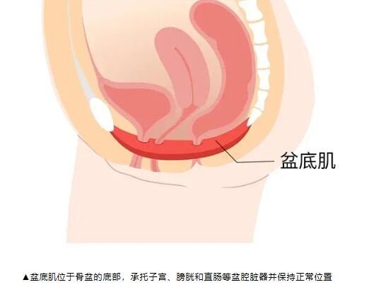 使用凯格尔球什么感觉