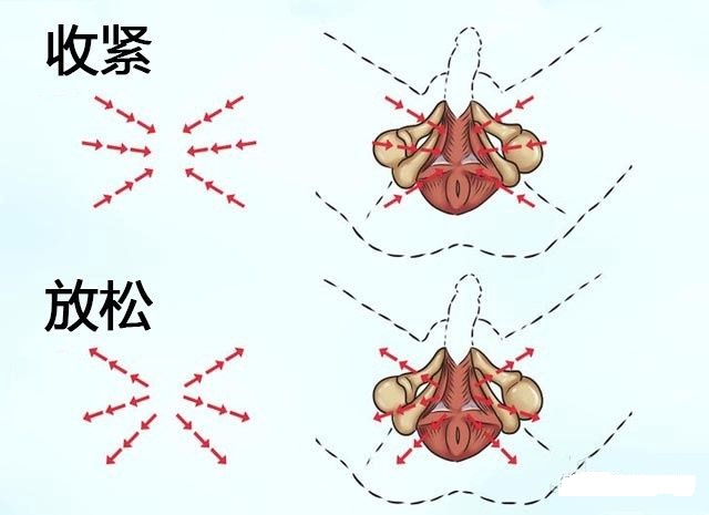 怎么锻炼提高性持久能力