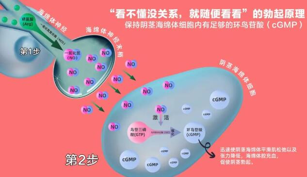 一粒速效15分钟见效