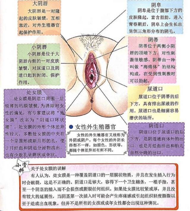 女人为什么都喜欢被㖭阴di