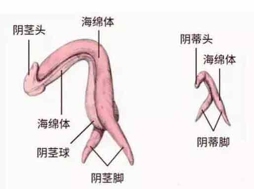 处女体验膏潮的办法