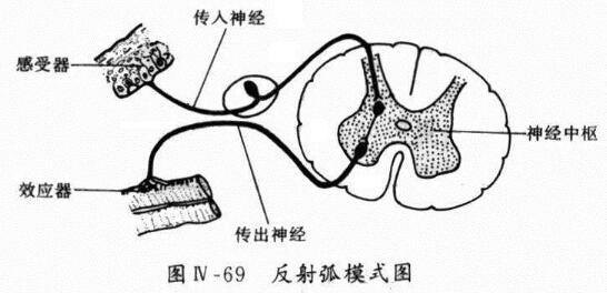 敏感度高控制不住咋办