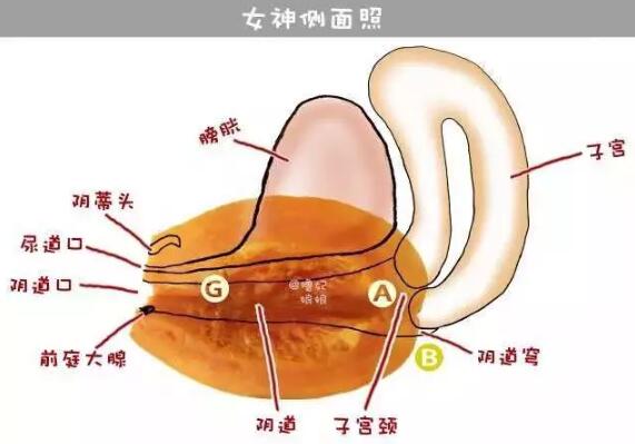 女人不容易膏潮的解决办法