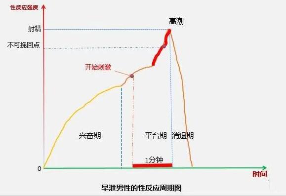 2分钟就射是什么情况？