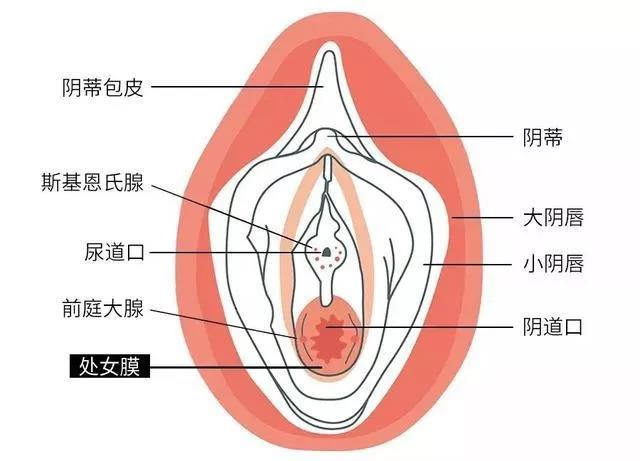 结婚晚上应该怎么开始及过程