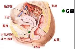 男友活不好要不要分手