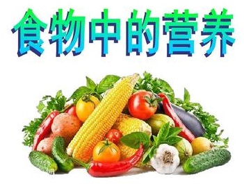 补肾壮阳吃什么食物好