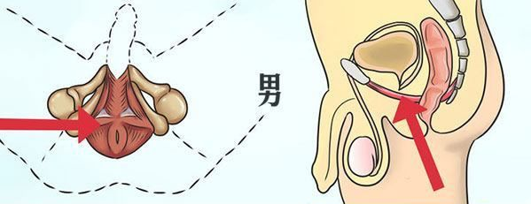 男人经常吃六味地黄丸能提高性功能吗