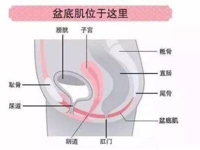 剖腹产为什么女人下面还那么松弛