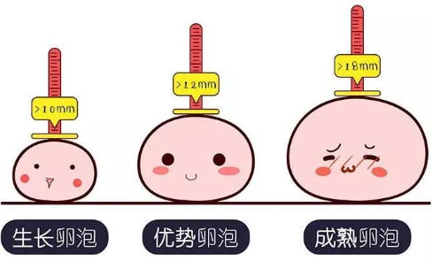 卵泡长不大一般是什么原因