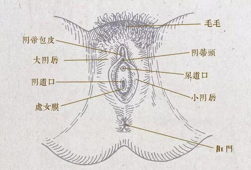 特别黄的自摸口述全过程