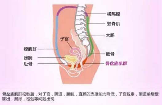 一夹一放怎么练