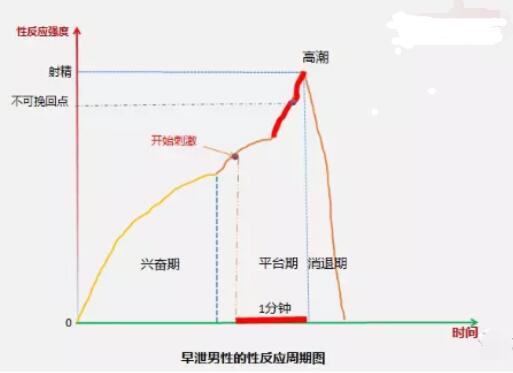 我昨晚用了达泊西汀