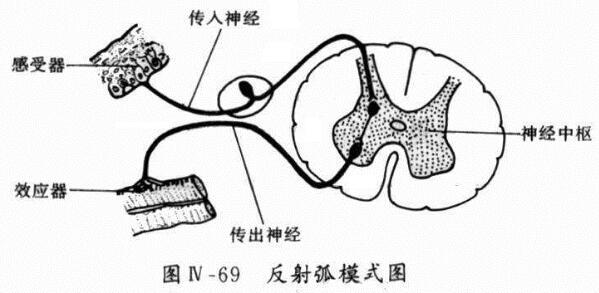 盐酸达泊西汀片可以根治吗