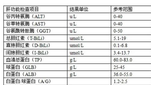 肝功能检查主要看哪几项指标